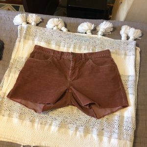 NWT Carve Designs Burnt Orange Shorts Sz 6